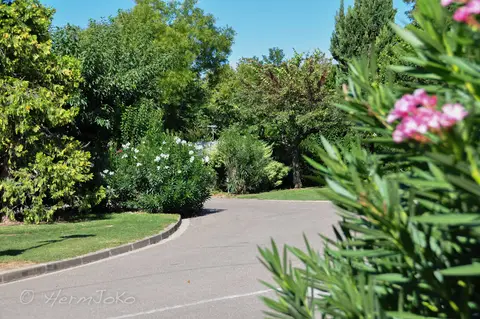 Camping municipal des Romarins