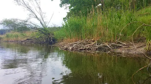 O.W. "Nad Obrą"