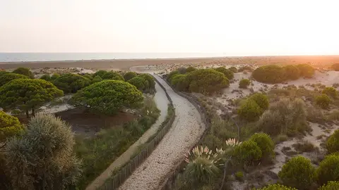 Camping de L'Espiguette