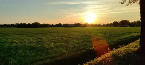 De Punder