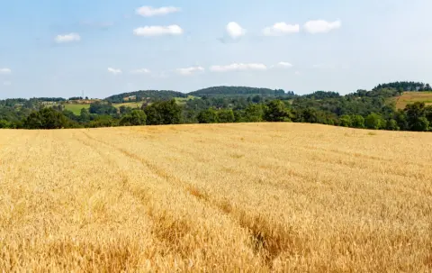 GCU La Grande-Motte