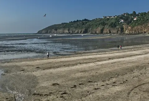 Le Panoramic