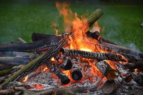 Natuurkampeerterrein Camping de Oldenhof