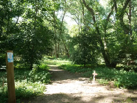 Camping des Pins