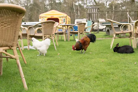 De Nieuwe Drenck