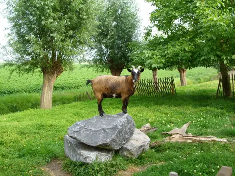 Camping Perkpolder