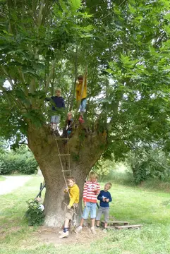 Camping Perkpolder