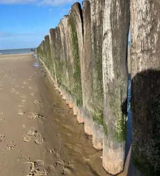 't Hof Welkom