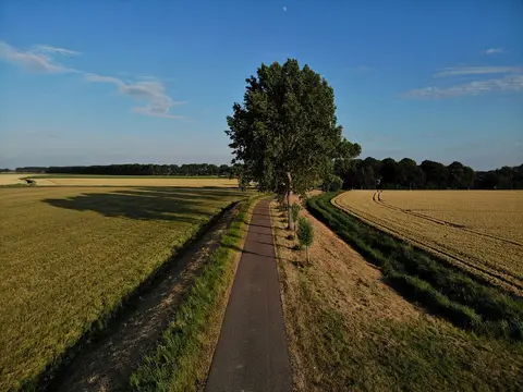 De Knockaerthof