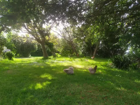 Camping de la ville d'Ys