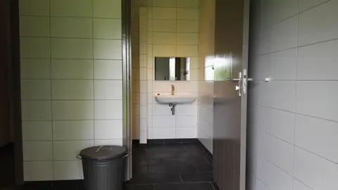 De Tureluur