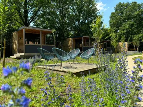 Urban Gardens