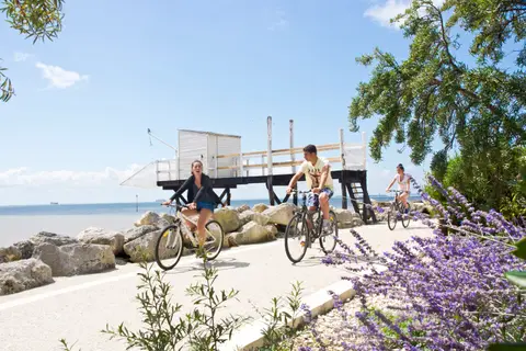 Camping du Bois Soleil