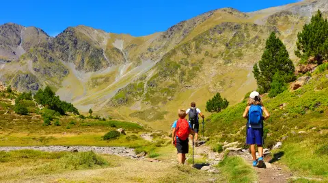 Camping L'Idéal