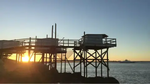 Les Chèvrefeuilles