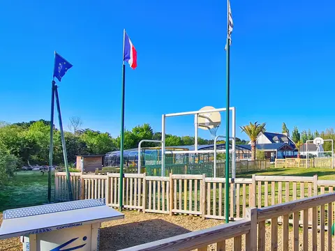Les Goëlands