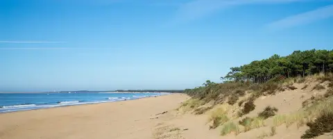 Camping L'orée des Bois