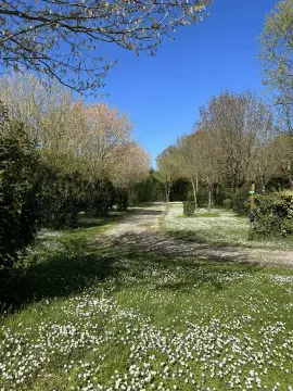 Camping L'orée des Bois