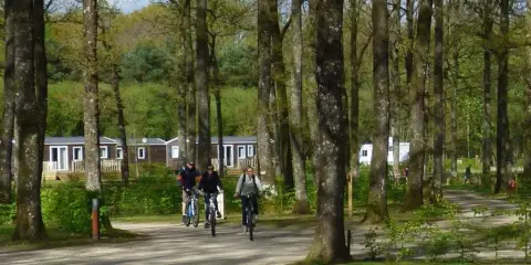 Camping Seasonova de la Forêt