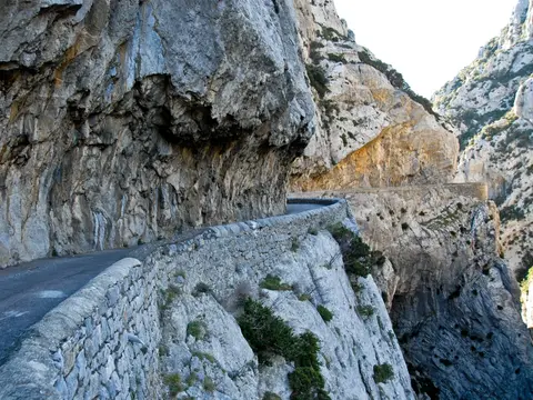 La Tour de France