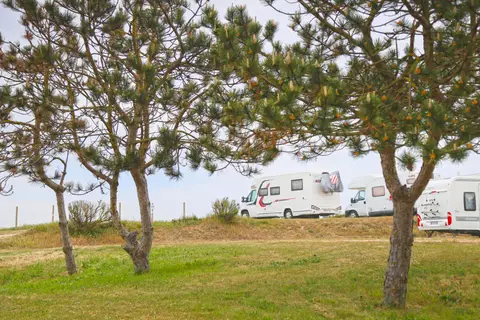 Camping Oasis