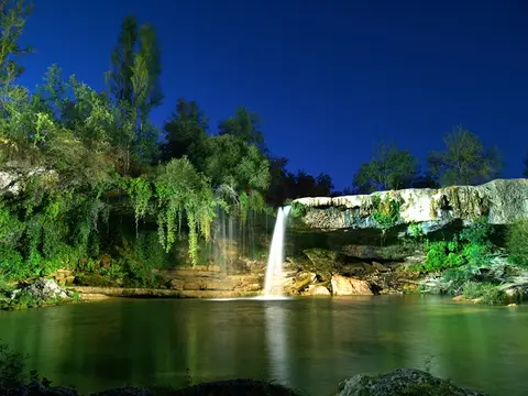 El Roble Verde