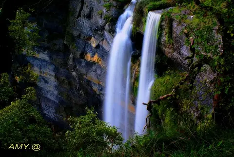 El Roble Verde