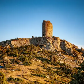 Le Roussillonnais