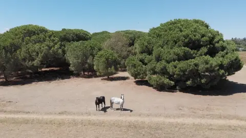 Camping Sol y Mar