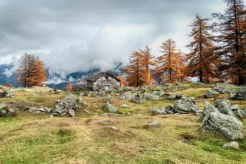 Camping Margherita