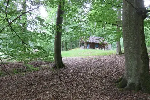 Laubwiese, Zell