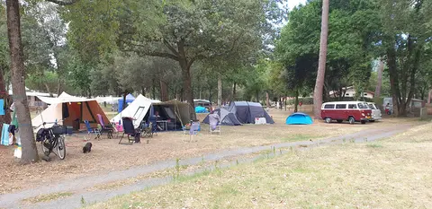 La Palombière