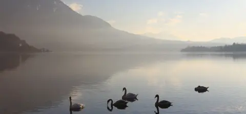 Camping Le Mont Grêle