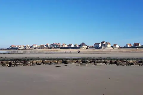 Les Ajoncs