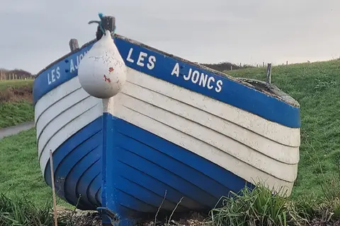 Les Ajoncs
