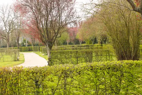 Le Clos Normand