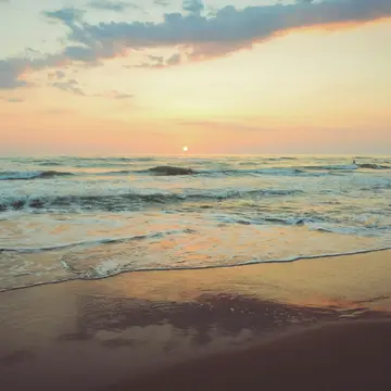 L'Abri de Camargue