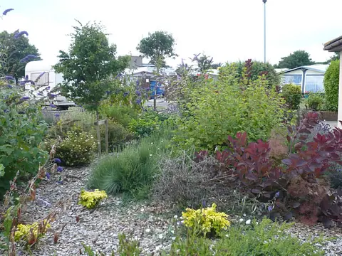 Fishery Creek