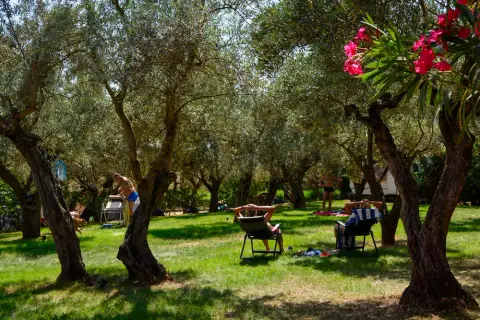 Camping Alquézar