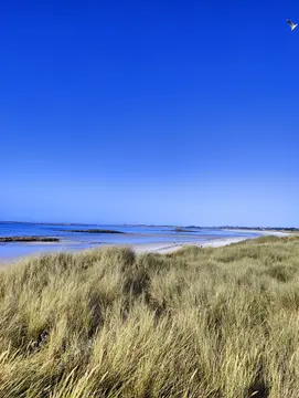 Camping municipal des Dunes