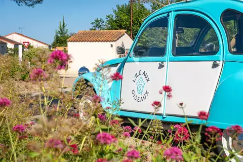 Camping L'Île aux Oiseaux