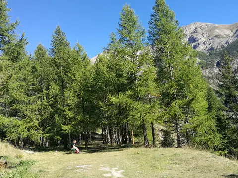 Argentera