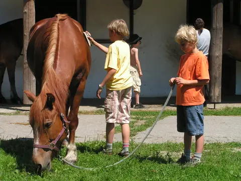 Agritourismo La Finca