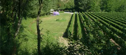 Camping de la Falaise