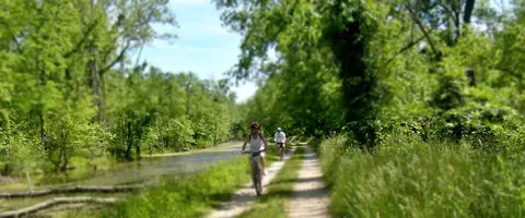 Camping Family Bronowice
