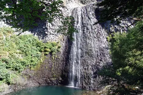 Camping À l'ombre des Sycomores
