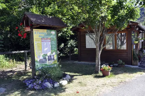 Camping À l'ombre des Sycomores