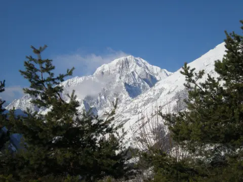 Camping Mont Blanc