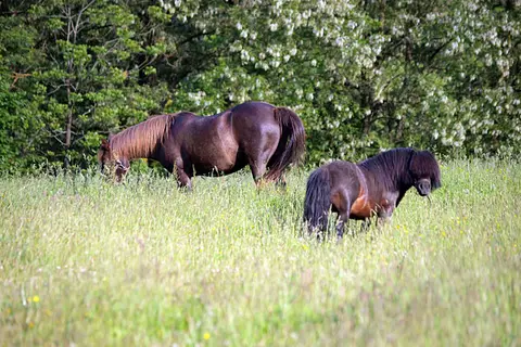 Les Logis de l’Oumois