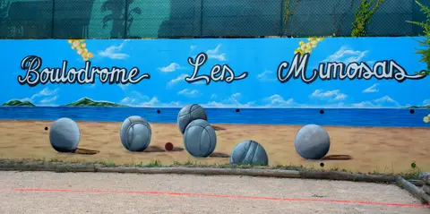 Les Mimosas